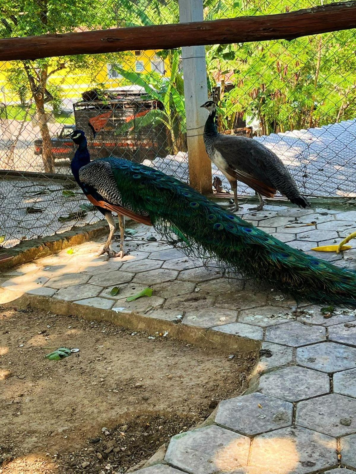 Pousada Jovimar Aparecida  Esterno foto